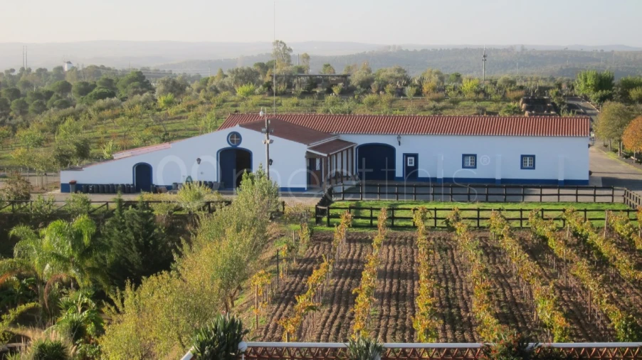 Quinta T9 para Venda em Mertola Foto 4