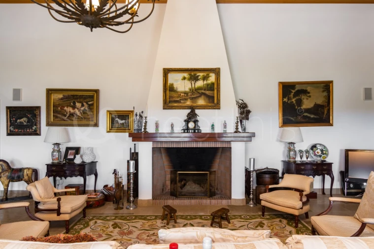 Quinta T9 para Venda em Mertola Foto 9