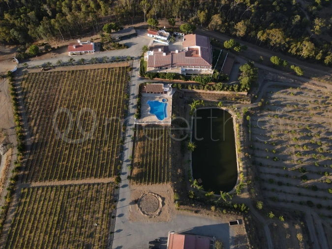 Quinta T9 para Venda em Mertola Foto 14