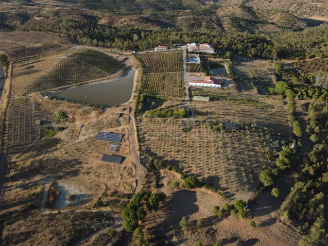 Quinta T9 para Venda em Mertola Foto 17