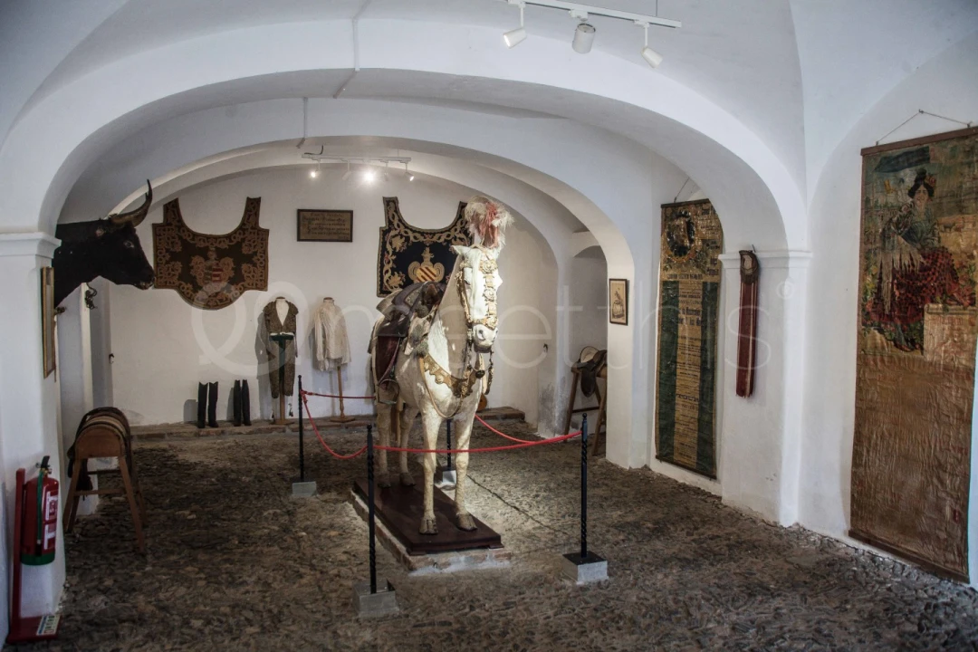 Quinta T10 para Venda em Cuba Foto 5