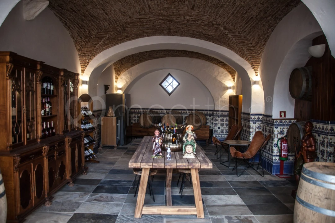 Quinta T10 para Venda em Cuba Foto 7