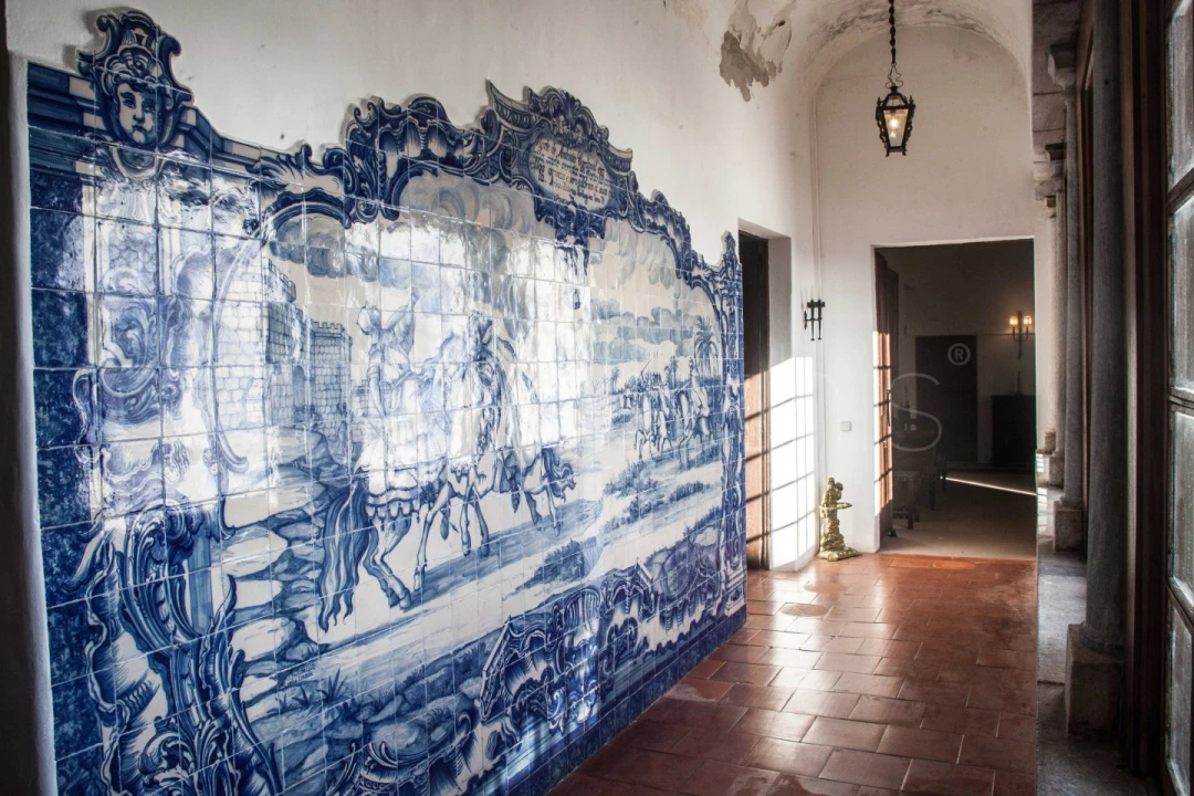 Quinta T10 para Venda em Cuba Foto 19