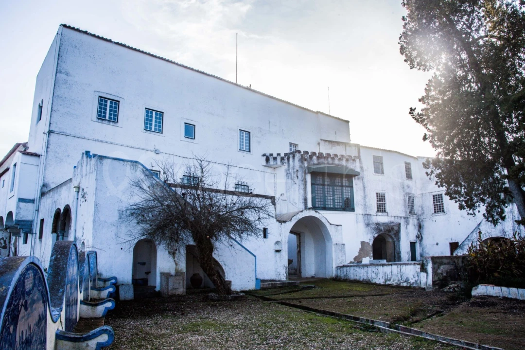 Quinta T10 para Venda em Cuba Foto 25