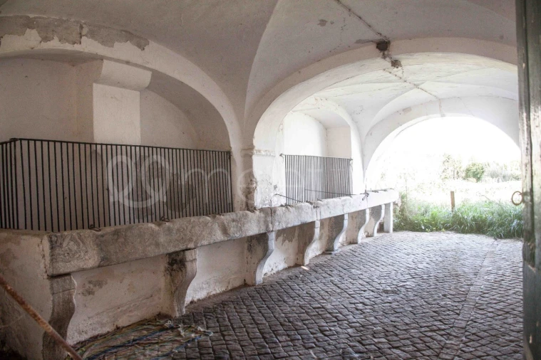 Quinta T10 para Venda em Cuba Foto 6