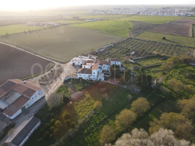 Quinta T10 para Venda em Cuba Foto 34