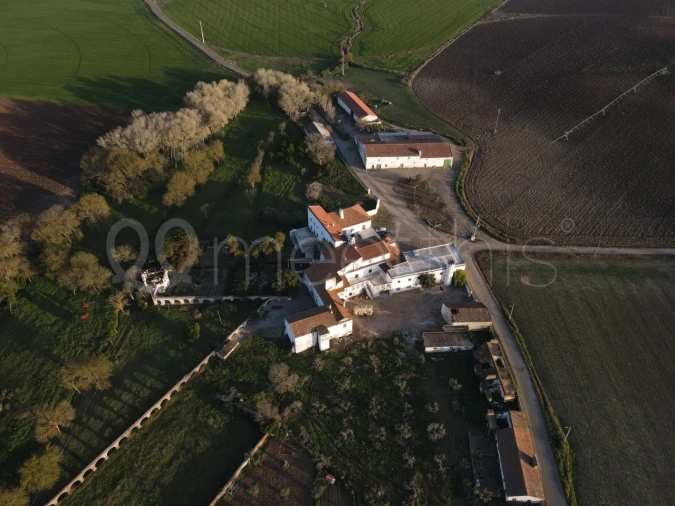 Quinta T10 para Venda em Cuba Foto 36