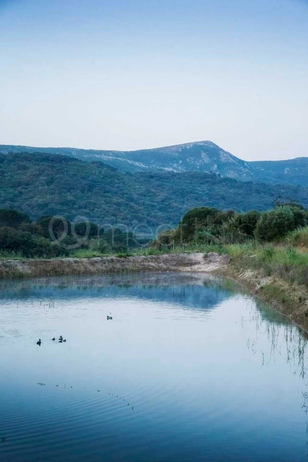 Quinta T10 para Venda em União das Freguesias de Setúbal Foto 7