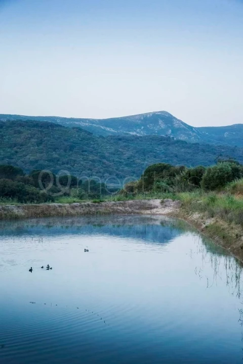 Quinta T10 para Venda em União das Freguesias de Setúbal