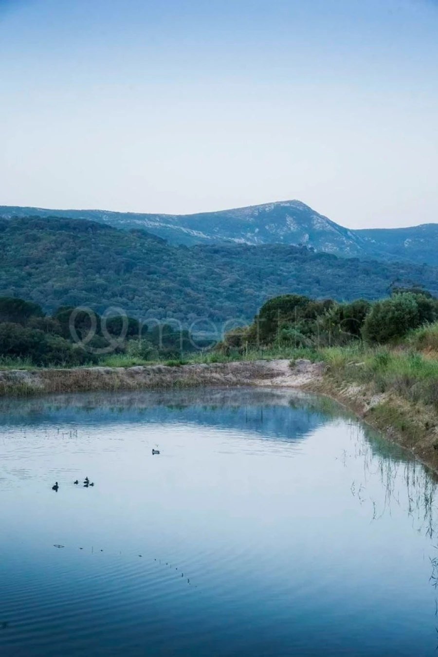 Quinta T10 para Venda em União das Freguesias de Setúbal Foto 7