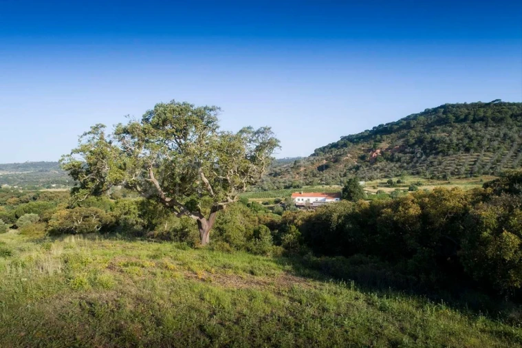 Quinta T10 para Venda em União das Freguesias de Setúbal Foto 9