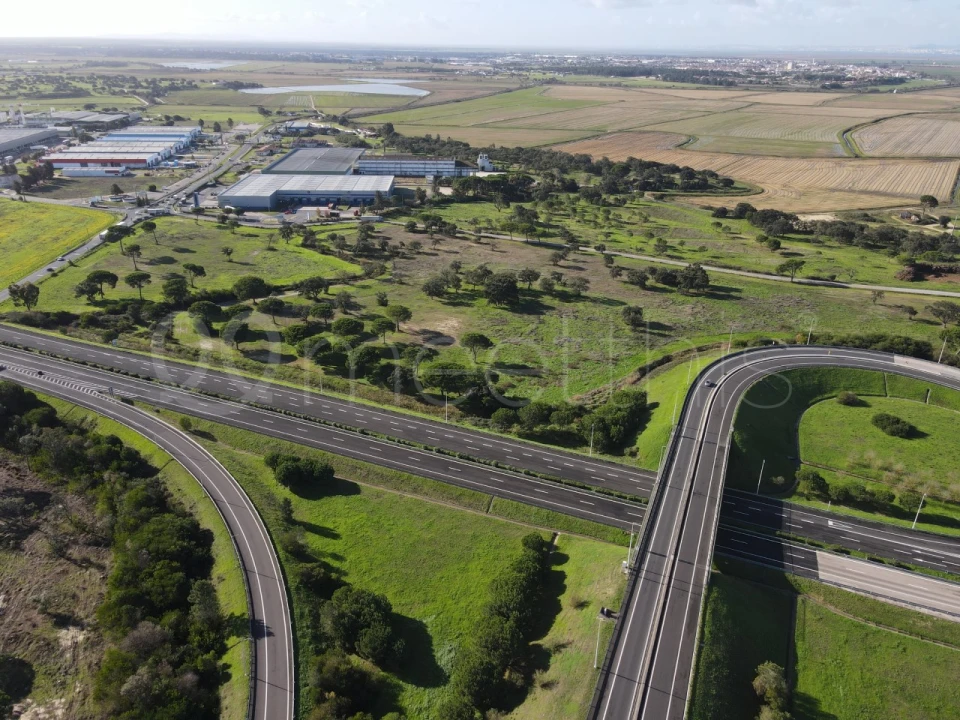 Terreno Comércio / Armazém para Venda em Benavente Foto 5
