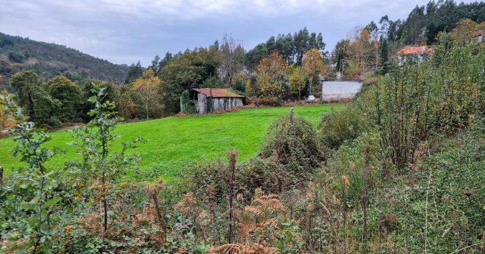 Terreno para Venda em Tabuaças Foto 1