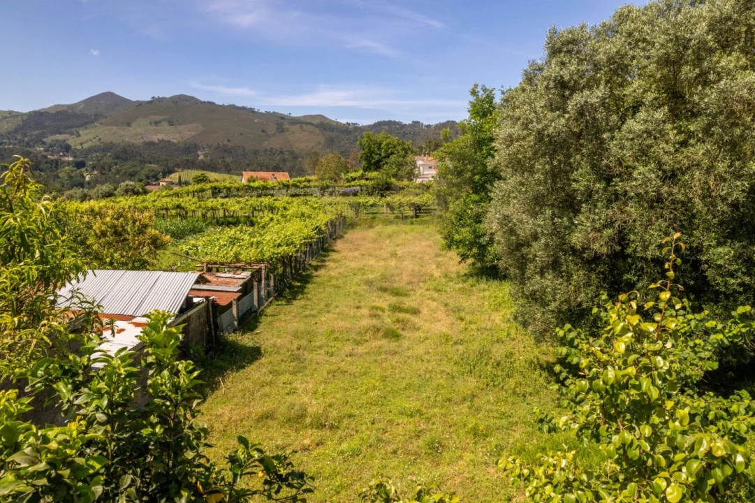 Terreno para Venda em Feitosa Foto 2