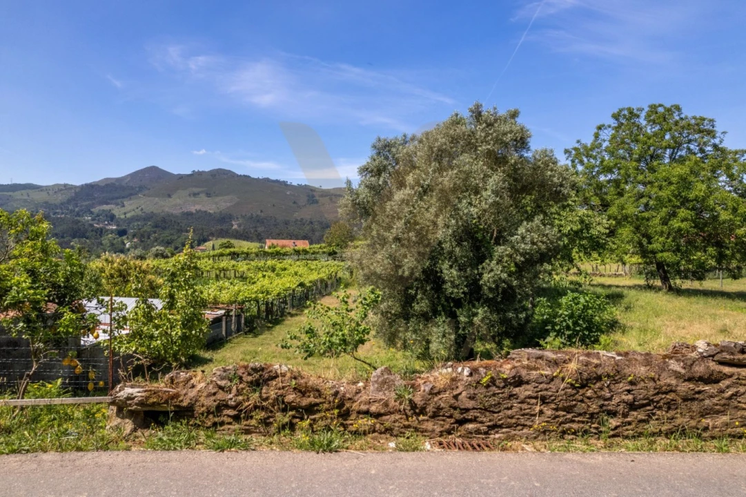 Terreno para Venda em Feitosa Foto 5