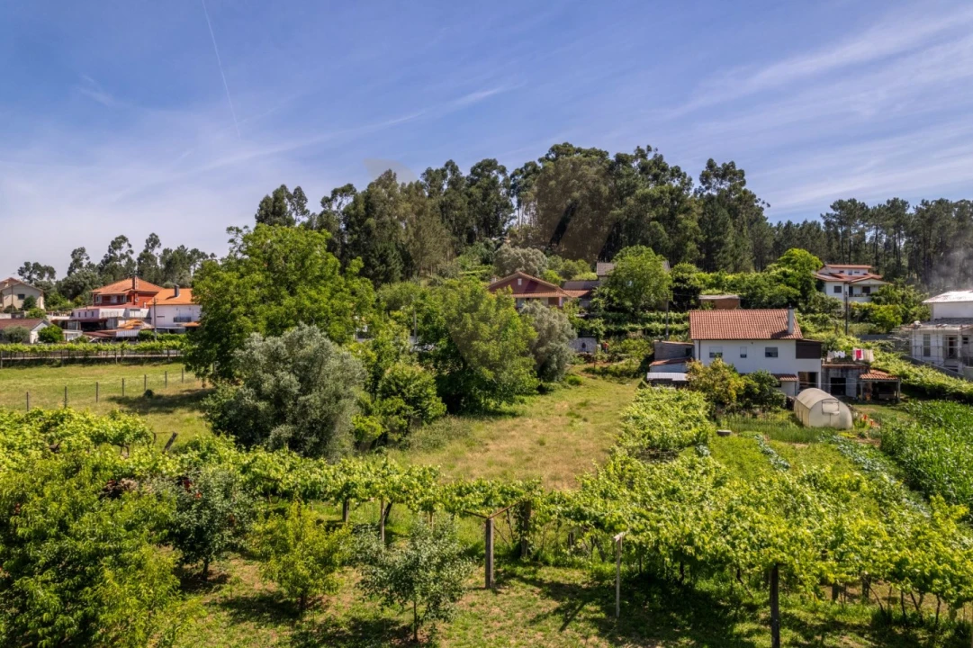 Terreno para Venda em Feitosa Foto 6