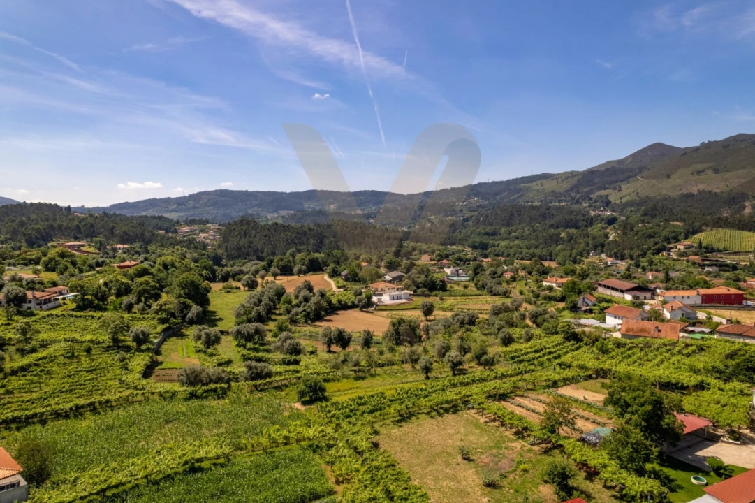 Terreno para Venda em Feitosa Foto 8