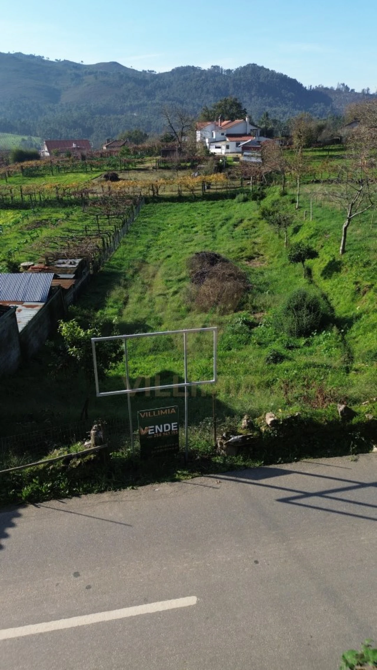 Terreno para Venda em Feitosa Foto 9