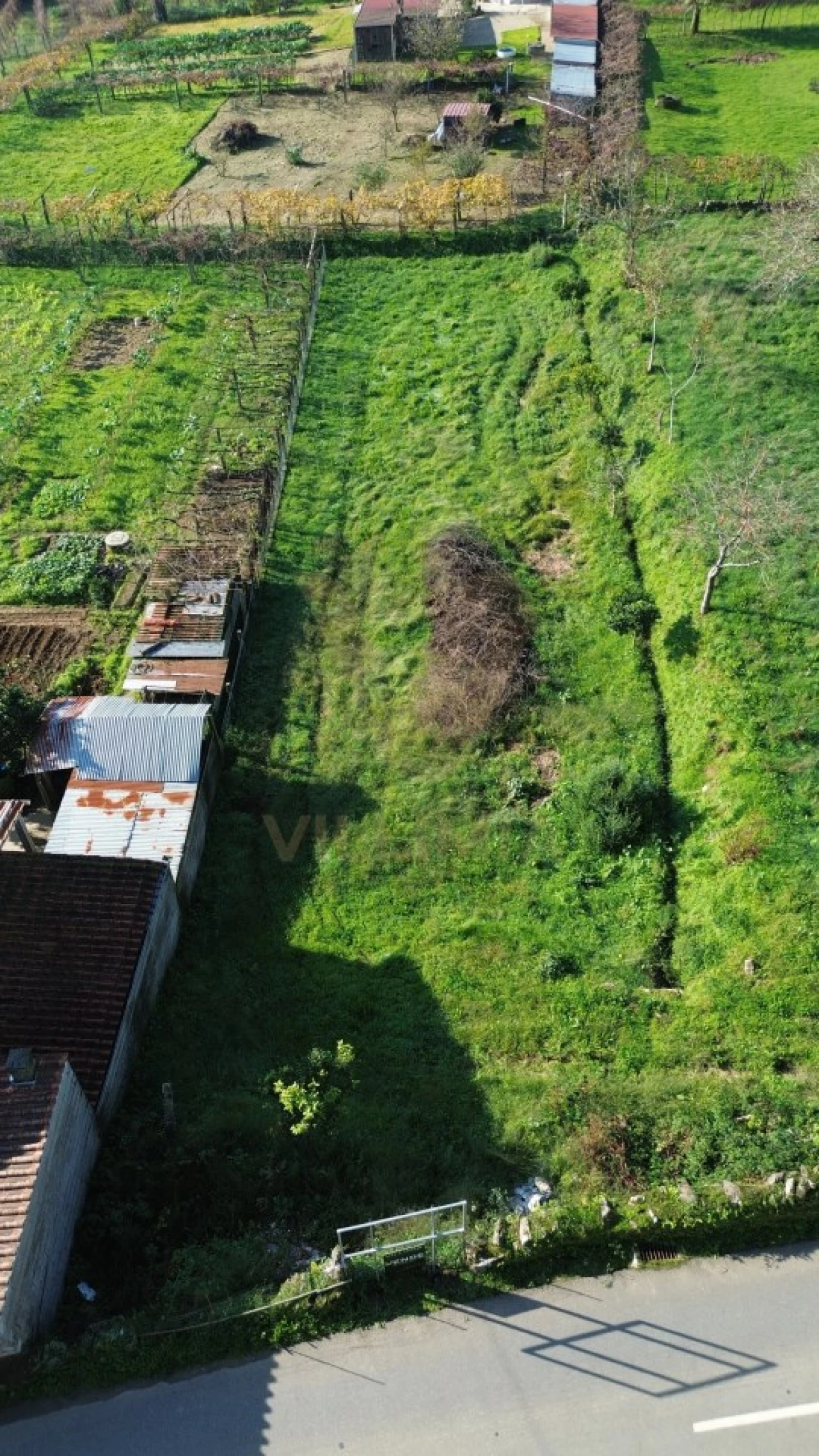 Terreno para Venda em Feitosa Foto 10