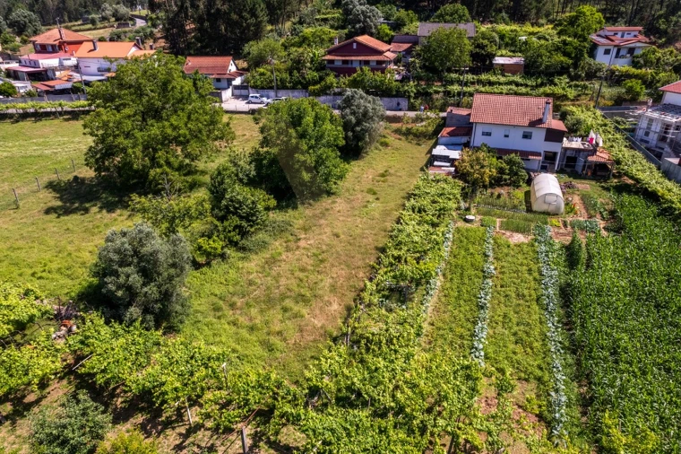 Terreno para Venda em Feitosa Foto 4
