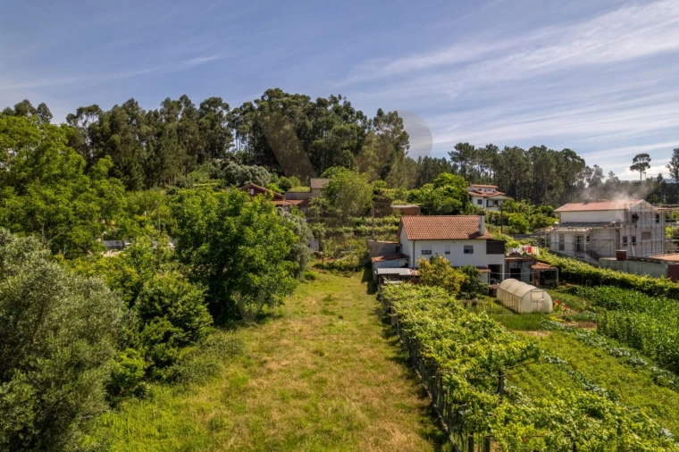 Terreno para Venda em Feitosa Foto 7