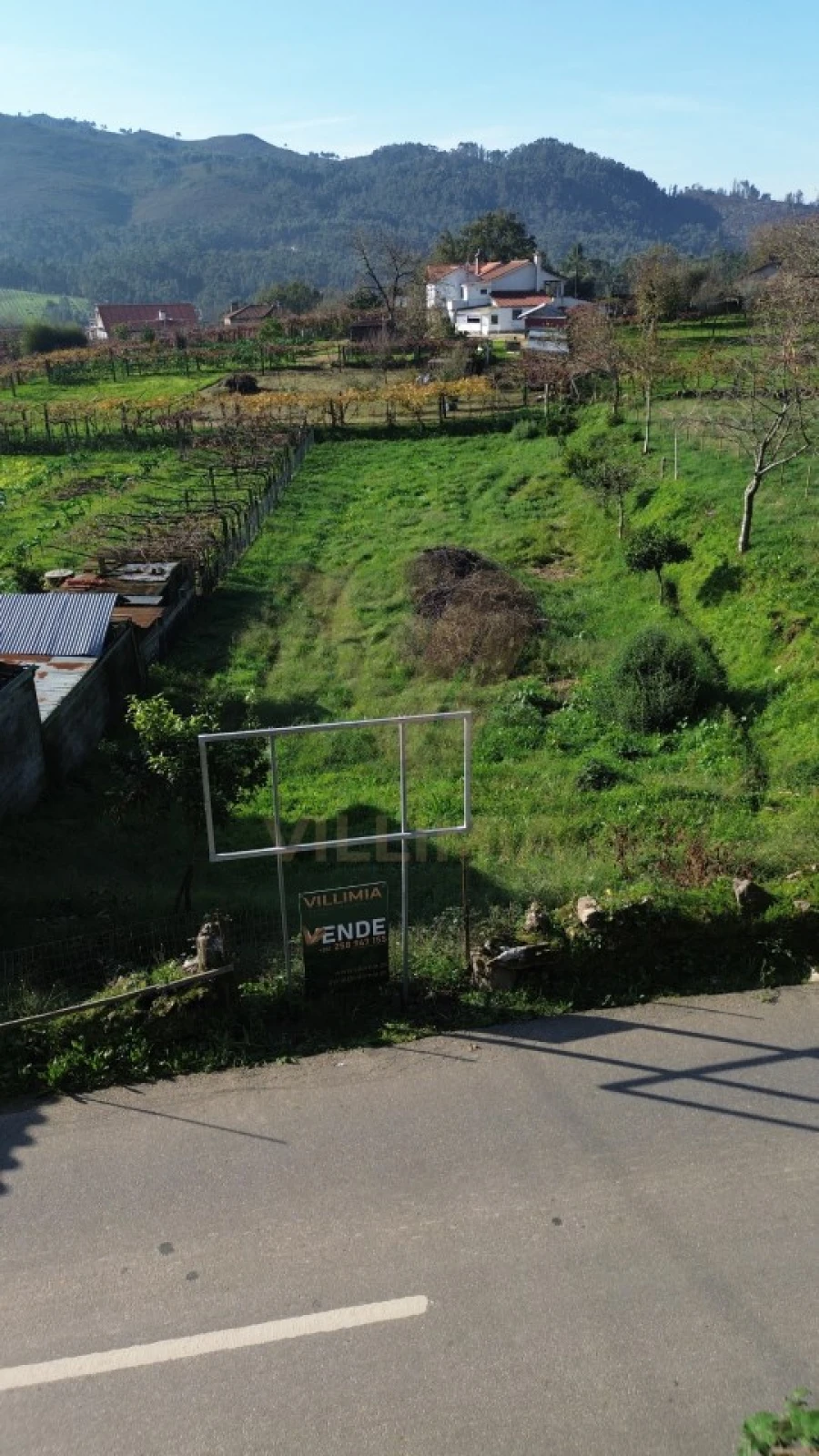 Terreno para Venda em Feitosa Foto 9