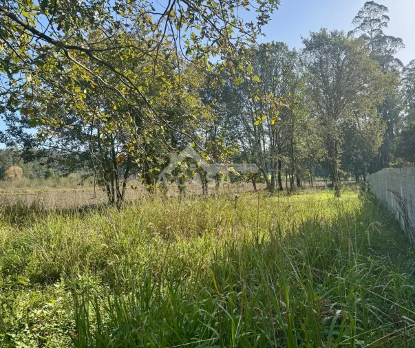 Terreno para Venda em São Martinho da Gandara Foto 3
