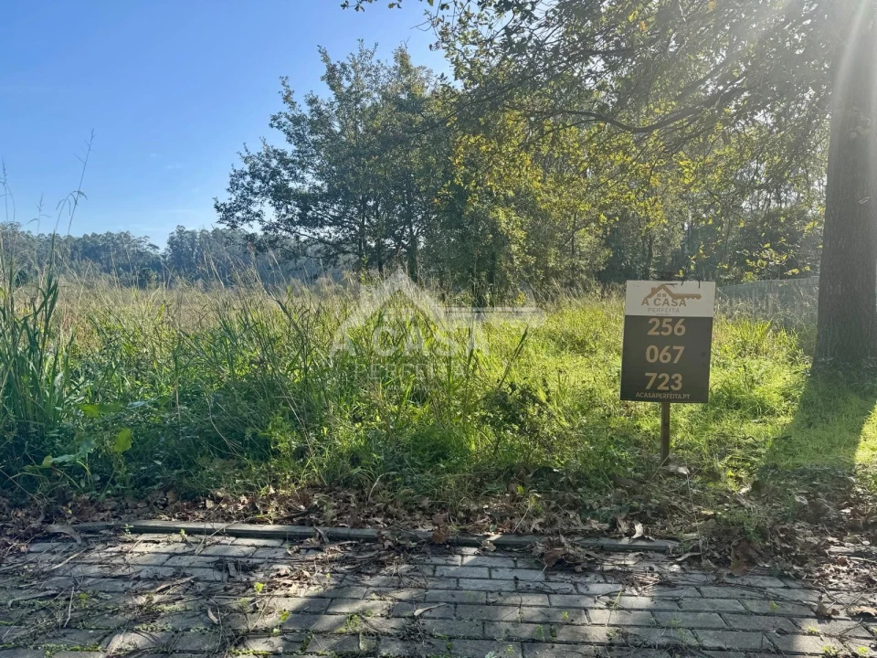 Terreno para Venda em São Martinho da Gandara Foto 1