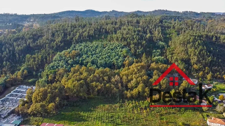 Terreno Agricola ou Rústico para Venda em São Pedro do Sul, Várzea e Baiões Foto 3