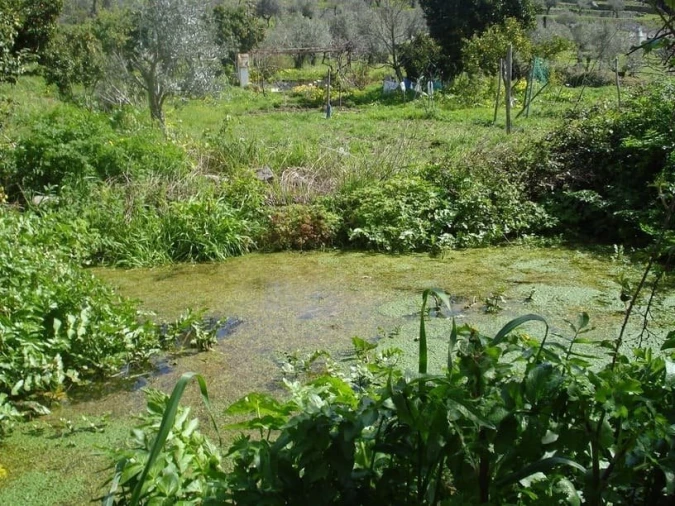 Quinta T0 para Venda em Sé e São Lourenço Foto 18