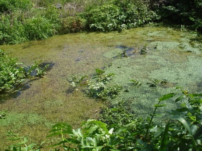 Quinta T0 para Venda em Sé e São Lourenço Foto 19