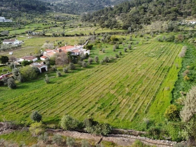 Quinta T0 para Venda em Sé e São Lourenço Foto 2