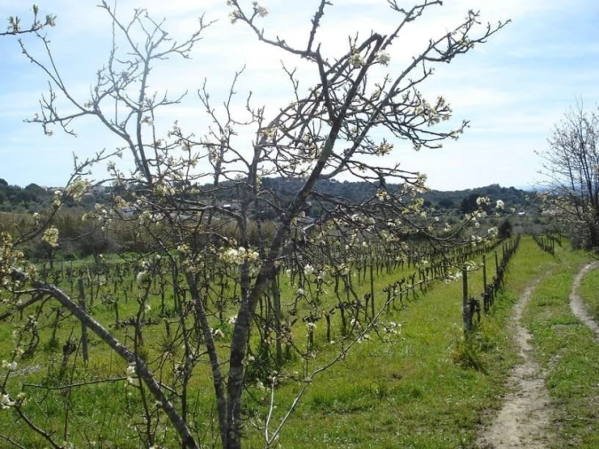 Quinta T0 para Venda em Sé e São Lourenço Foto 13