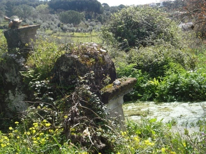Quinta T0 para Venda em Sé e São Lourenço Foto 17