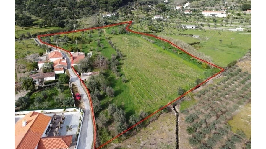 Quinta T0 para Venda em Sé e São Lourenço
