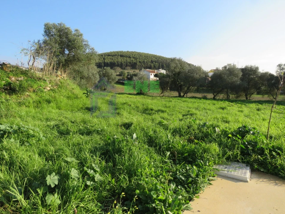 Quinta T3 para Venda em Malveira e São Miguel de Alcainça Foto 4