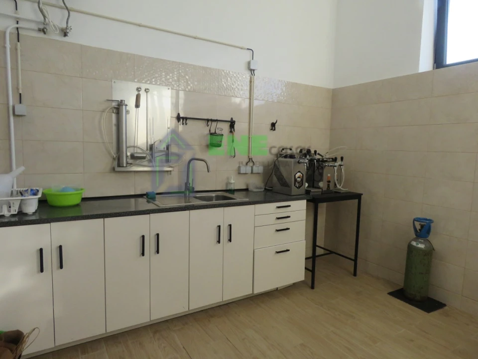 Quinta T3 para Venda em Malveira e São Miguel de Alcainça Foto 25