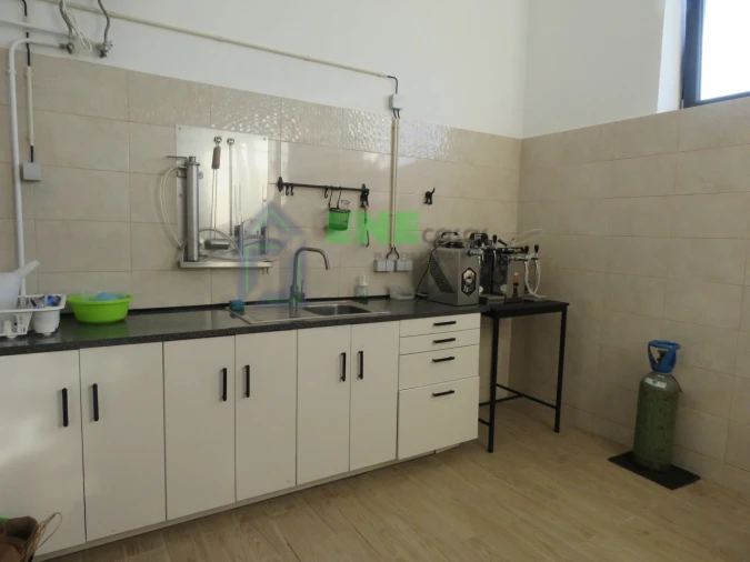 Quinta T3 para Venda em Malveira e São Miguel de Alcainça Foto 25