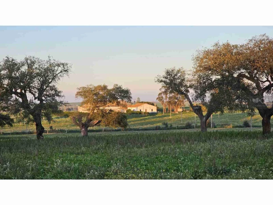 Quinta para Venda em Castro Verde e Casével Foto 2