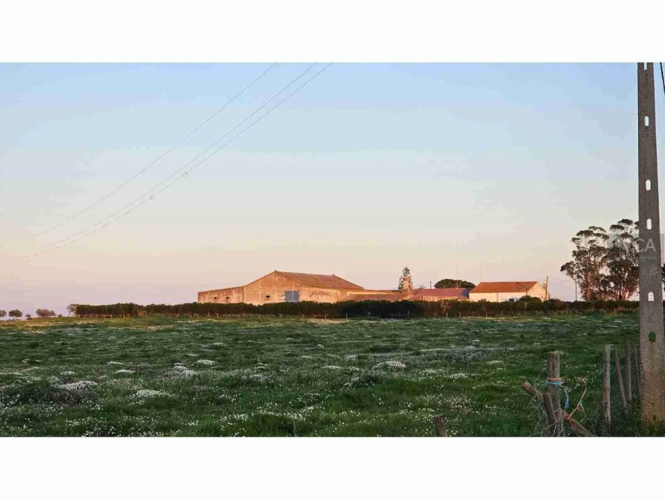 Quinta para Venda em Castro Verde e Casével Foto 3