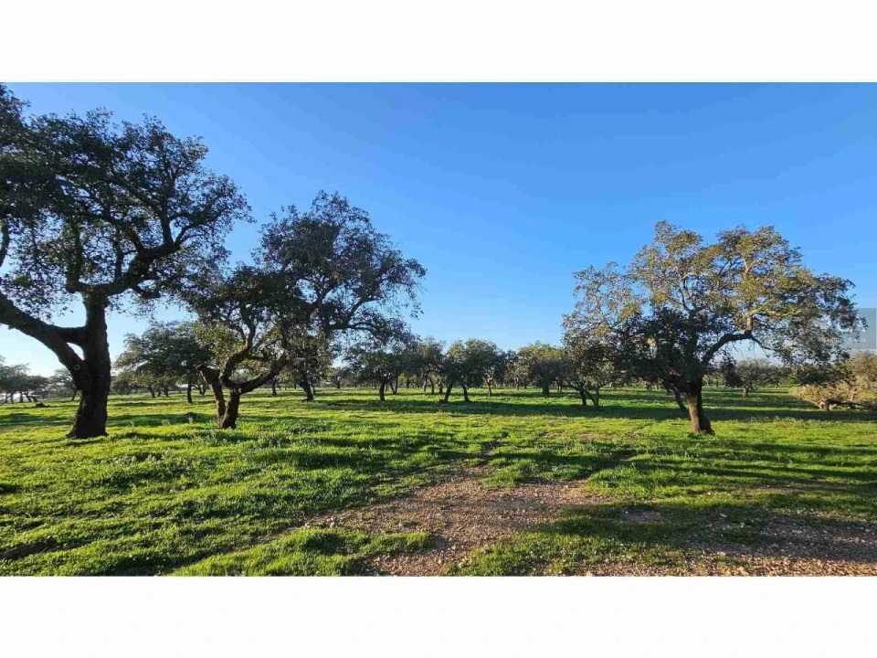 Quinta para Venda em Castro Verde e Casével Foto 13