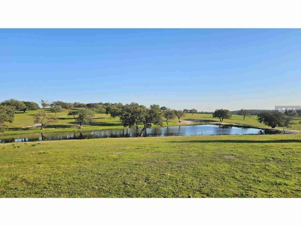 Quinta para Venda em Castro Verde e Casével Foto 15