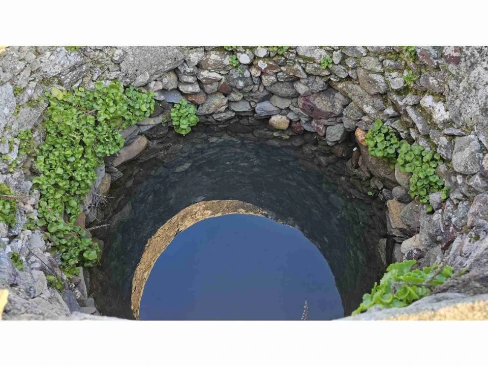 Quinta para Venda em Castro Verde e Casével Foto 16