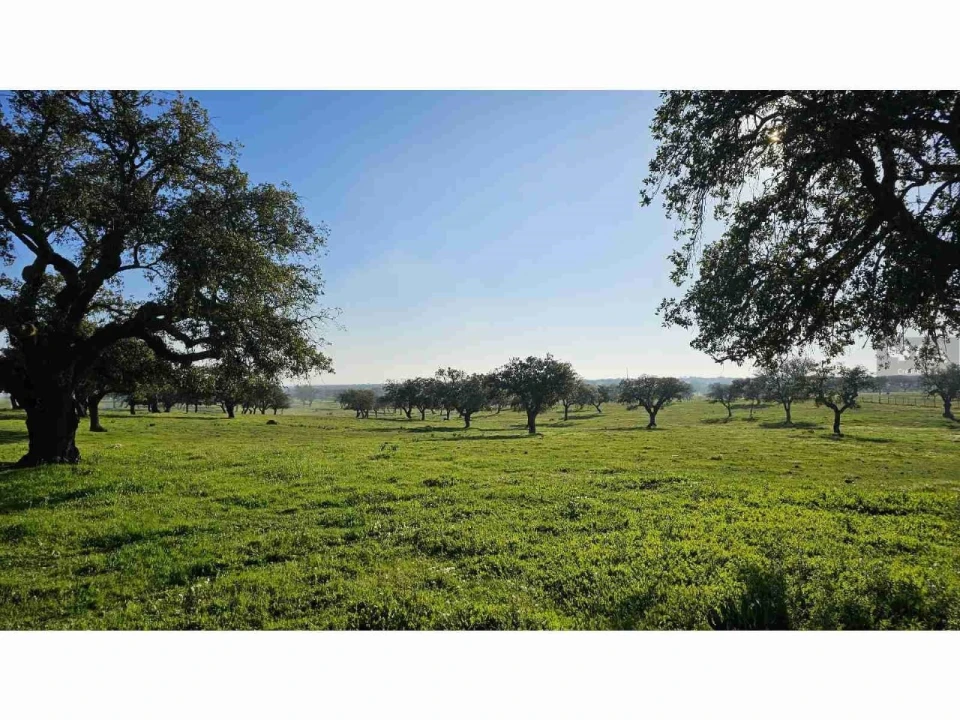 Quinta para Venda em Castro Verde e Casével Foto 17