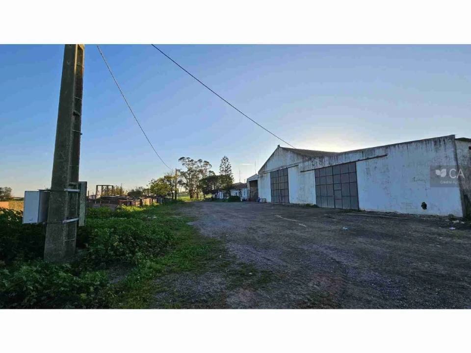 Quinta para Venda em Castro Verde e Casével Foto 18