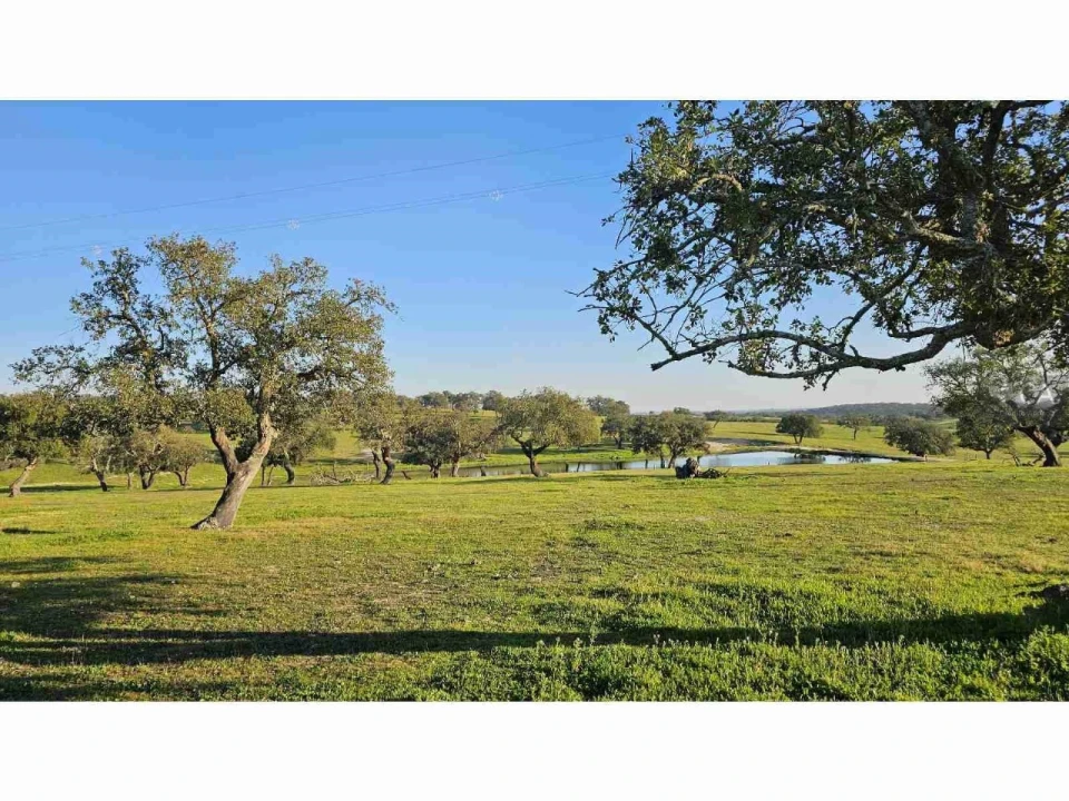 Quinta para Venda em Castro Verde e Casével Foto 20