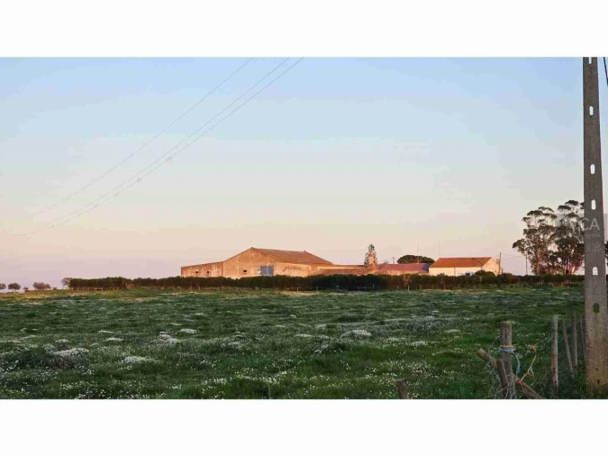 Quinta para Venda em Castro Verde e Casével Foto 3