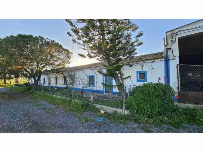 Quinta para Venda em Castro Verde e Casével Foto 7