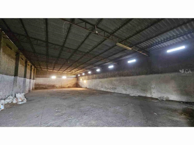 Quinta para Venda em Castro Verde e Casével Foto 8