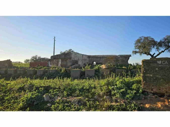 Quinta para Venda em Castro Verde e Casével Foto 11